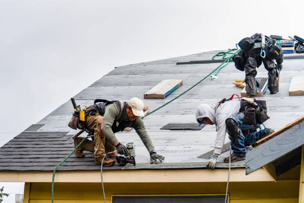 Professional Roofing technician working in Augusta, MI